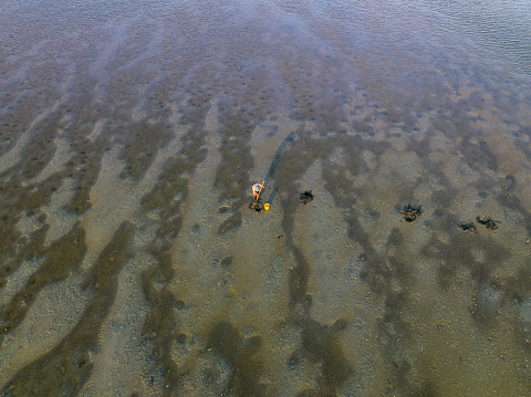 Drone view a fisherman is catching crab when low tide in Thuy Trieu lagoon, Cam Lam district, Khanh hoa province, central Vietnam