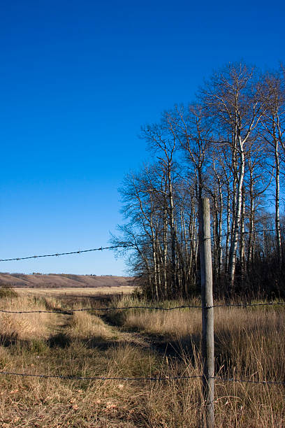 Farm Trail stock photo