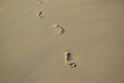 Footprints left behind in wet sand on a beach
