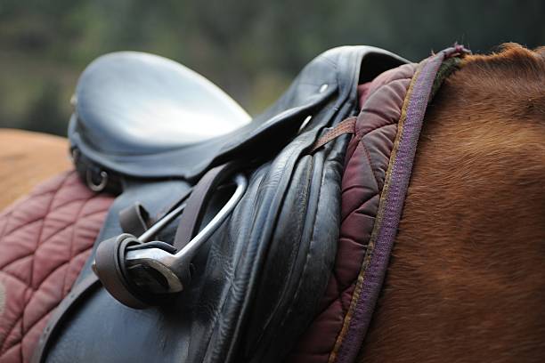 istock Horse English Seat 147672835