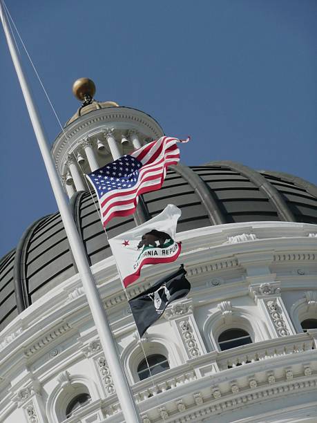 istock Flags at the California Capitol 147672883
