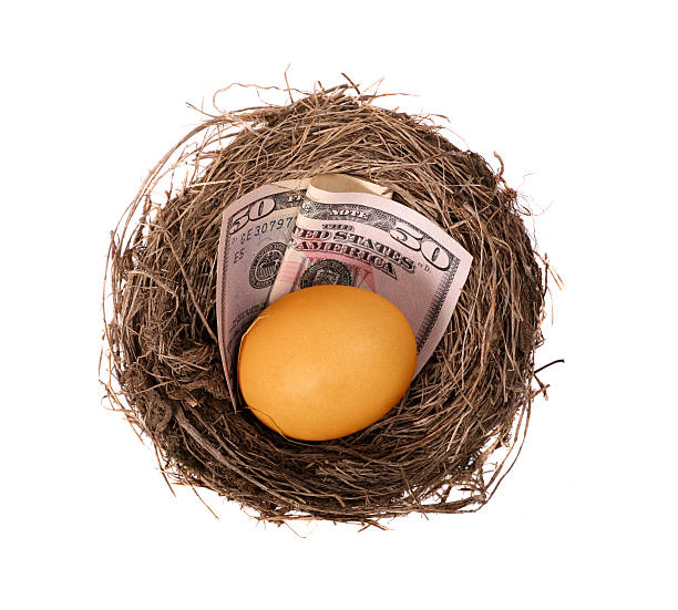 Nest Egg Geld – Foto