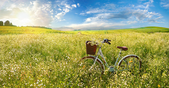 Beautiful spring summer natural landscape with a bicycle on a flowering meadow against a blue sky with clouds on a bright sunny day.