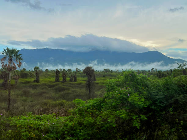 istock Brazil Mountains in Clouds 1476730938