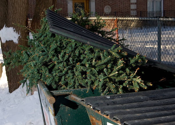 istock The Holidays Are Over 147673266