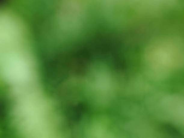 istock focus photography, green background, natural 1476733232