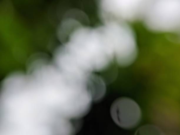 istock focus photography, green background, natural 1476733254