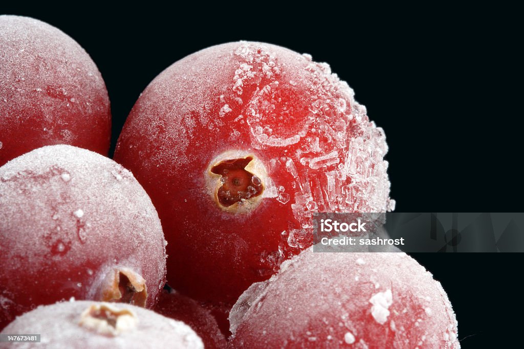 Materiale congelato contenenti mirtillo. - Foto stock royalty-free di Brina - Acqua ghiacciata