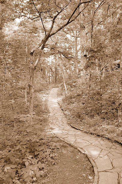 stone camino a través de bosques sepia - shawnee national forest fotografías e imágenes de stock