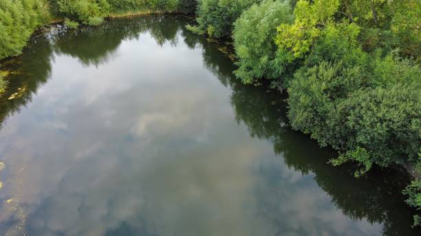 istock Reflective aerial shot of a pond 1476739991