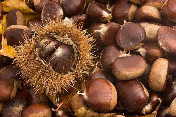 Chestnuts stock photo