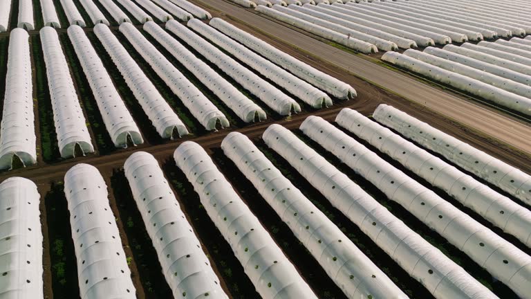 Drone shot of country road amidst greenhouses lined up on landscape