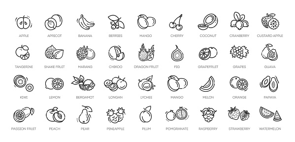 Vector line collection. Outline fruits