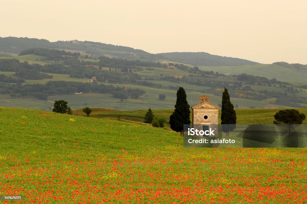 Toskana, Val d'Orcia, Italien – Kapelle mit Poppies im Frühling - Lizenzfrei Abgeschiedenheit Stock-Foto