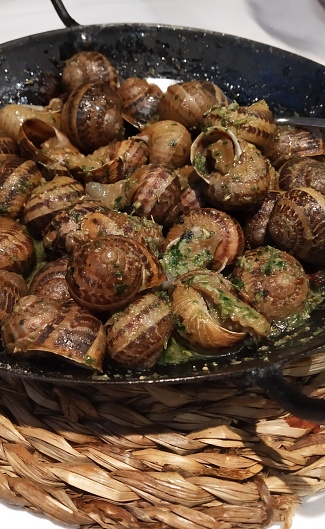 Snails  in paella pan