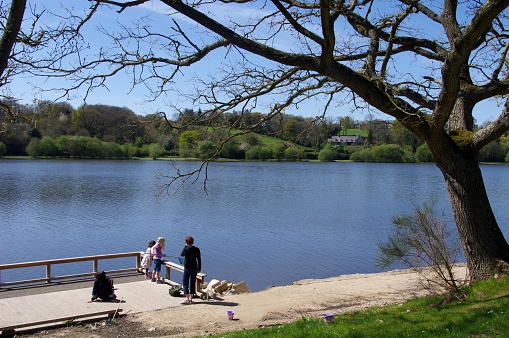 Children and their mother fishing with a net