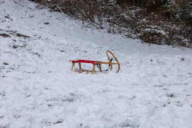 istock Winter landscape with snow. Beautiful park with trees 1476746387