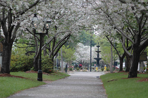 third ストリート公園 - macon ストックフォトと画像