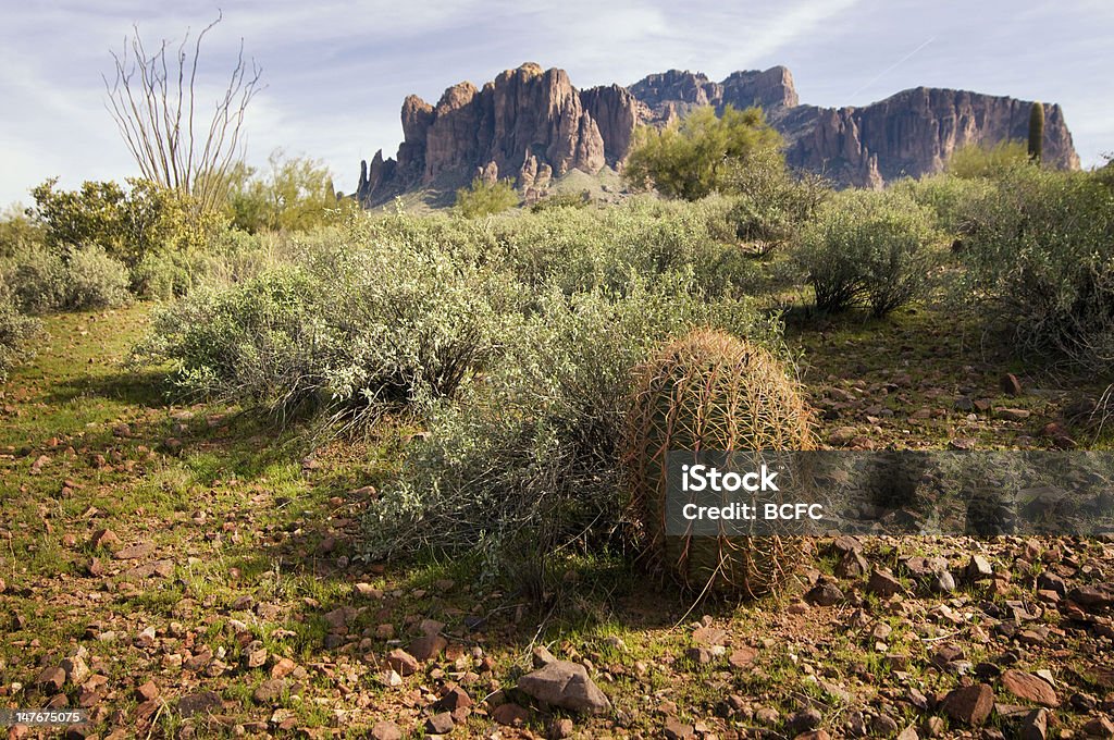 Paisagem do deserto com montanha em distância - Foto de stock de Arbusto royalty-free