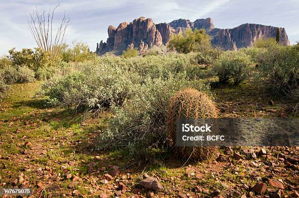 Foto de Paisagem Do Deserto Com Montanha Em Distância e mais fotos de stock de Arbusto - Arbusto, Arizona, Cacto