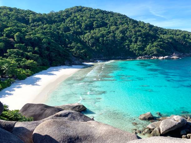 hermosa vista en la playa de la isla de similan no. 8 en tailandia - khao san road fotografías e imágenes de stock