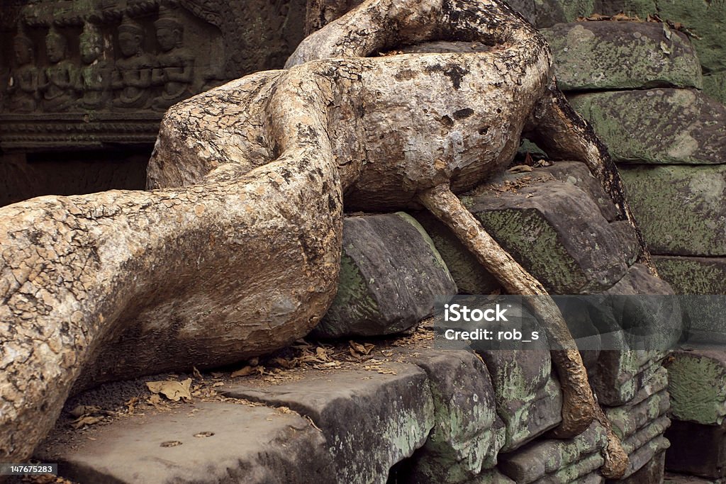 Khmer ruínas de Ta Prohm (Camboja - Foto de stock de Angkor royalty-free