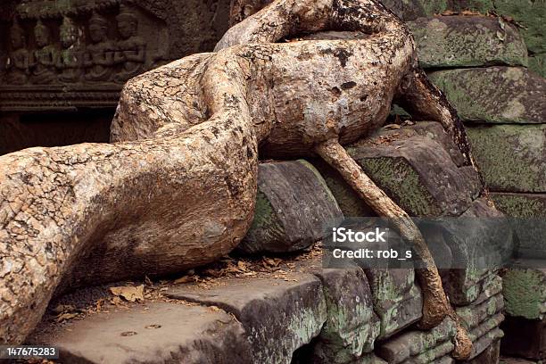 Foto de Khmer Ruínas De Ta Prohm Camboja e mais fotos de stock de Angkor - Angkor, Antigo, Apodrecer