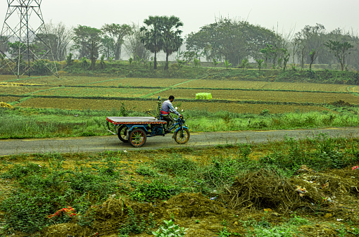 A Rickshaw Puller with his Cycle riding Van  on a village road amidst green field. Bardhaman West Bengal India South Asia Pacific March 15, 2023