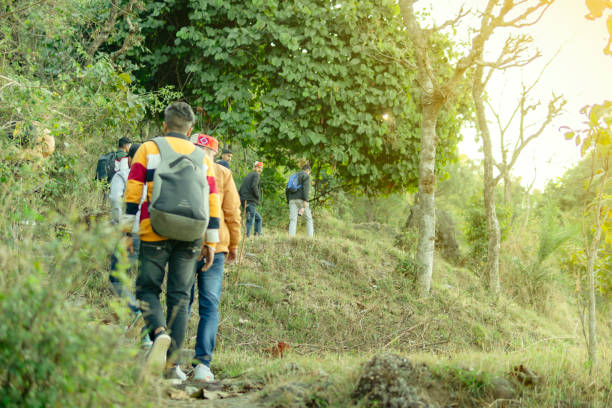 istock Group of people tracking in a mountain forest. 1476755516