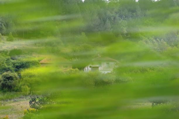 istock old house through leaves of trees 1476756053