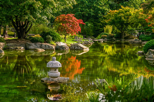 A long exposure of a pond with colorful Maple leaves drifting around.