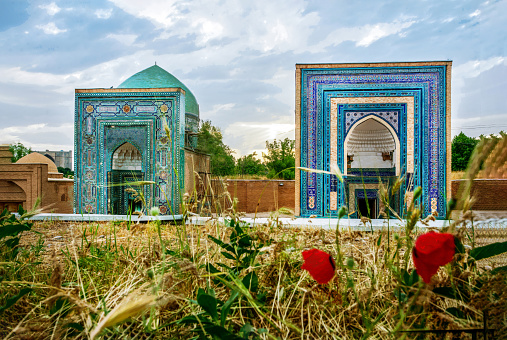 Fantastic architectural memorial complex Shakhi-Zinda- moorish art,  a Muslim complex (mosques) in ancient Samarkand\n( capital of Amir Temur, Tamerlane)  and poppies and  grass in May