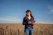 Female farmer checking soybeans