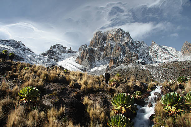 Mount Kenya at Sunrise Sunrise on Mount Kenya from Shipton Camp. landscape fog africa beauty in nature stock pictures, royalty-free photos & images