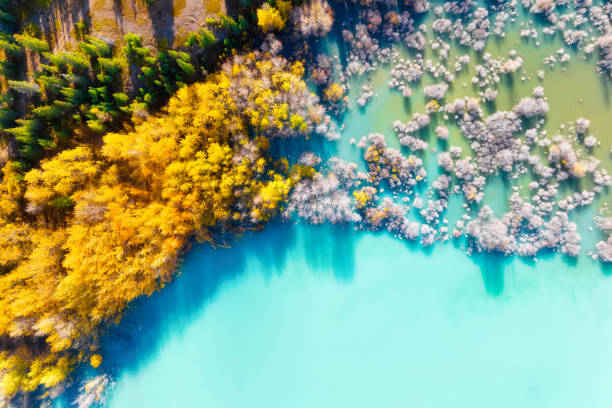 istock Aerial view. Birch forest in turquoise water. Lake and tree. Natural scenery in fall time. Landscape from a drone. Top view. Mountain lake and trees. Photo for background and wallpaper. 1476757872