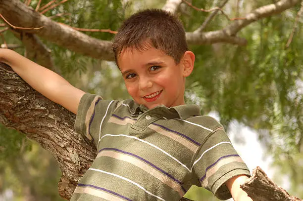 A young boy plays in a tree