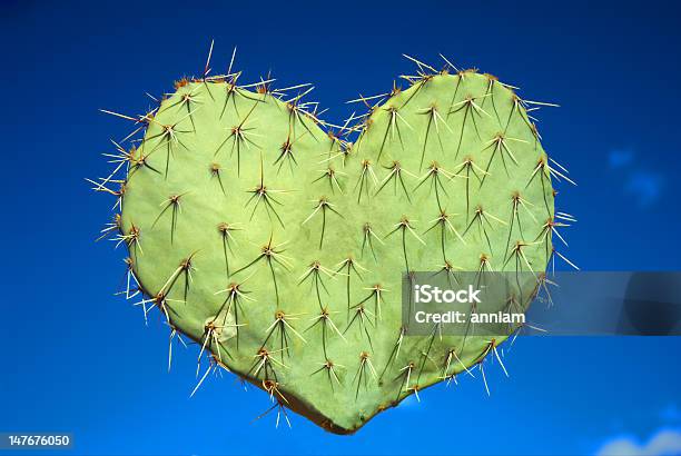 Il Fico Damore - Fotografie stock e altre immagini di Cactus - Cactus, Simbolo di cuore, Amore