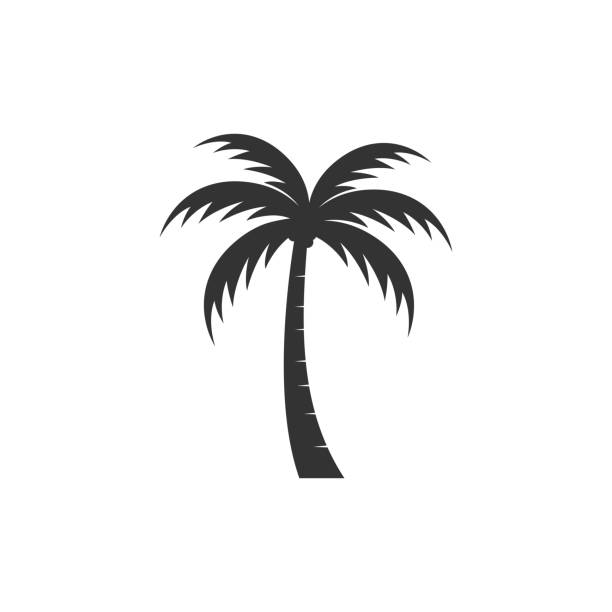 Palm tree summer symbol template Palm tree summer symbol template vector illustration fruit of coconut tree stock illustrations