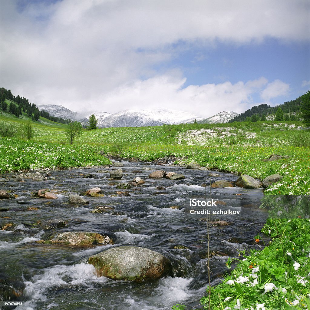 River dans les montagnes - Photo de Arbre libre de droits