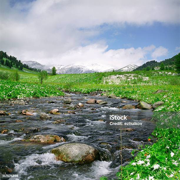 Photo libre de droit de River Dans Les Montagnes banque d'images et plus d'images libres de droit de Arbre - Arbre, Beauté de la nature, Bois