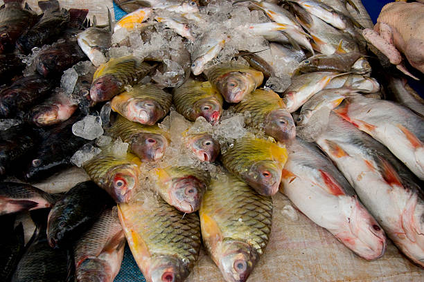 istock Vientiane fish market 147676996