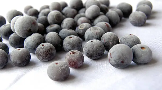 frozen blueberries on white background.