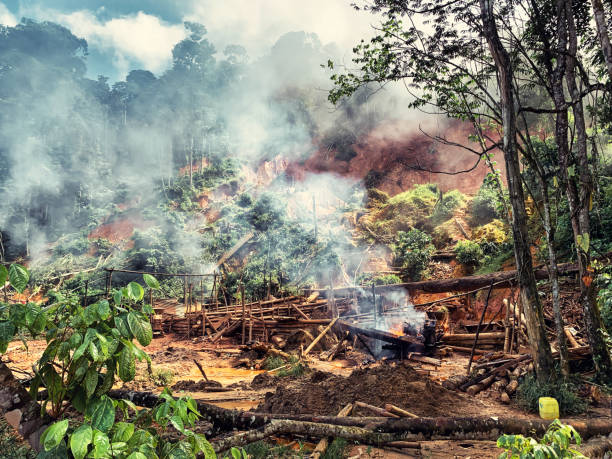sitio ilegal de lavado de oro en la selva tropical - tailings fotografías e imágenes de stock