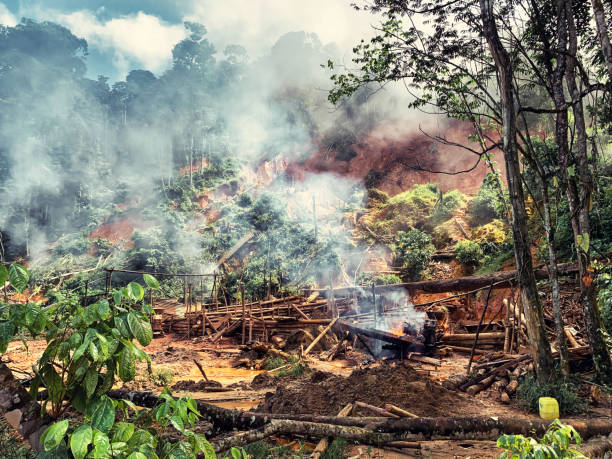 illegal gold panning site in the rainforest Maripasoula, French Guiana - July 01, 2022. View of an illegal gold panning site in French Guiana being destroyed by gendarmes during an operation to combat illegal gold panning in French Guiana. The clandestine gold mining that is rampant there is a scourge both for the environment and for the economic development of the territory. gold mining panning stock pictures, royalty-free photos & images