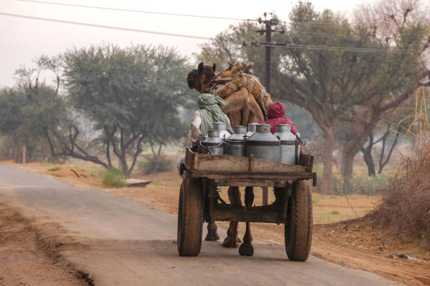 lechero en india - milkman fotografías e imágenes de stock