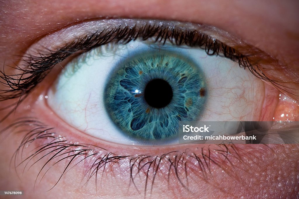 Синий зеленый глаз - Стоковые фото Баскетбол роялти-фри