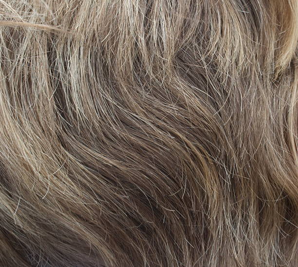 istock Young Woman's Hair 147678315