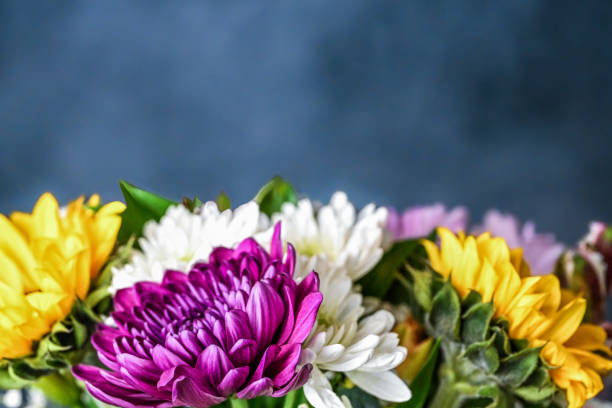 Beautiful bouquet of flowers on the white background. Chrysanthemum and wild roses. Space for a text. Close up.