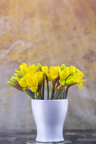 Bouquet of daffodils