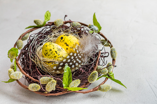 Holiday still life with decorative quail eggs in a brown nest among feathers. Easter decor with selective focus